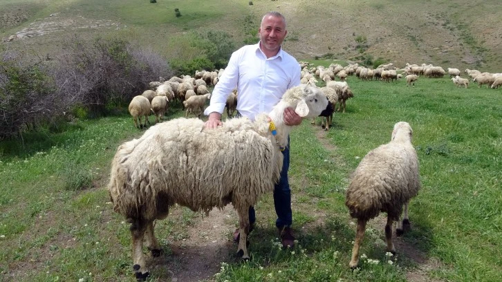 22 Yıl Sonra Memleketine Döndü, Hayvancılığa Başladı 