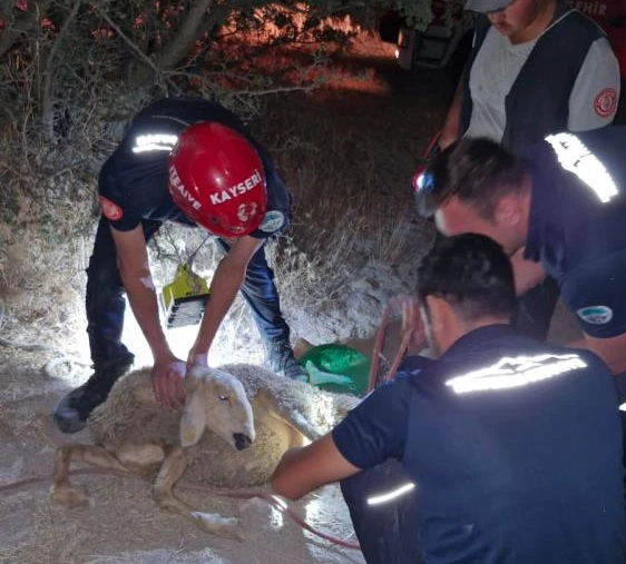 30 metrelik kuyuya düşen koyunu itfaiye kurtardı