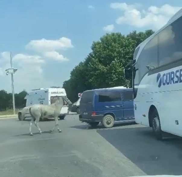 40 Derece Sıcaklıkta  Ata Eziyet Ettiler!