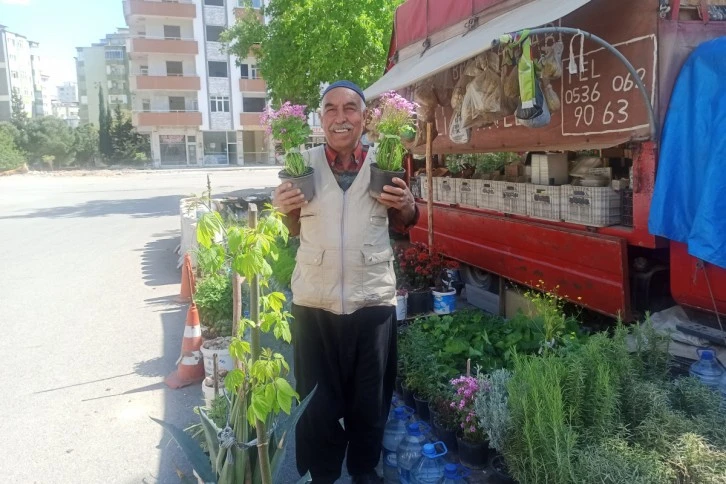 70 Yaşındaki Dedenin Yetiştirdiği Çiçekler Gelir Kaynağı Oldu 