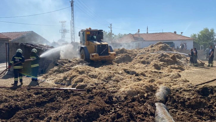 750 Saman Balyası Küle Döndü 