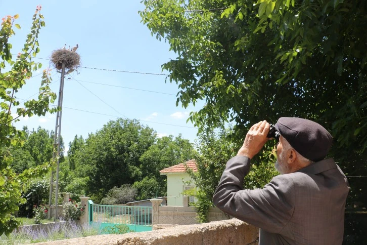 83 Yaşındaki Mustafa Amcanın Mutluluk Kaynağı Leylekler 