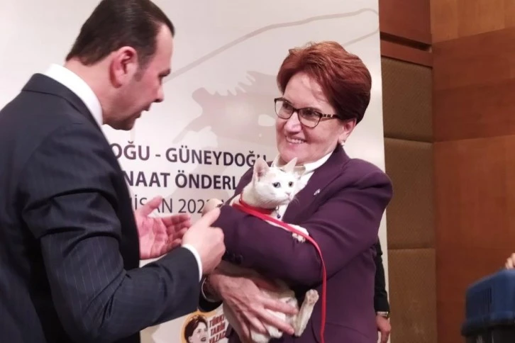 Akşener: 'Seçmeni Velinimet Görürüm'