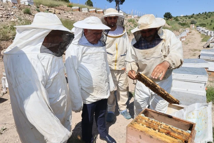 Şimşek, Arı Sütü Sağımını İnceledi 