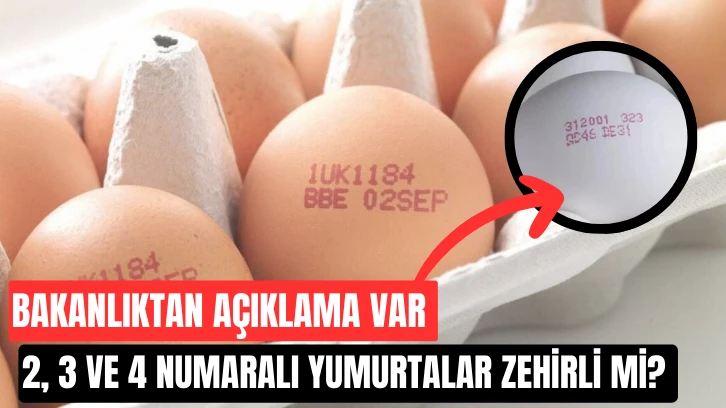 Bakanlıktan Açıklama Var: 2, 3 ve 4 Numaralı Yumurtalar Zehirli mi? 