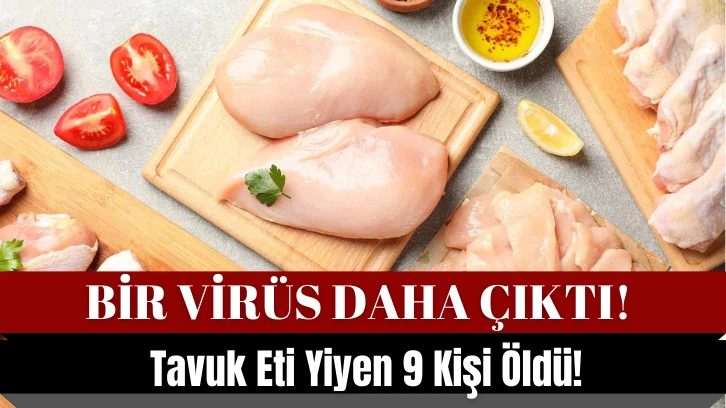 Bir Virüs Daha Çıktı! Tavuk Eti Yiyen 9 Kişi Öldü! 