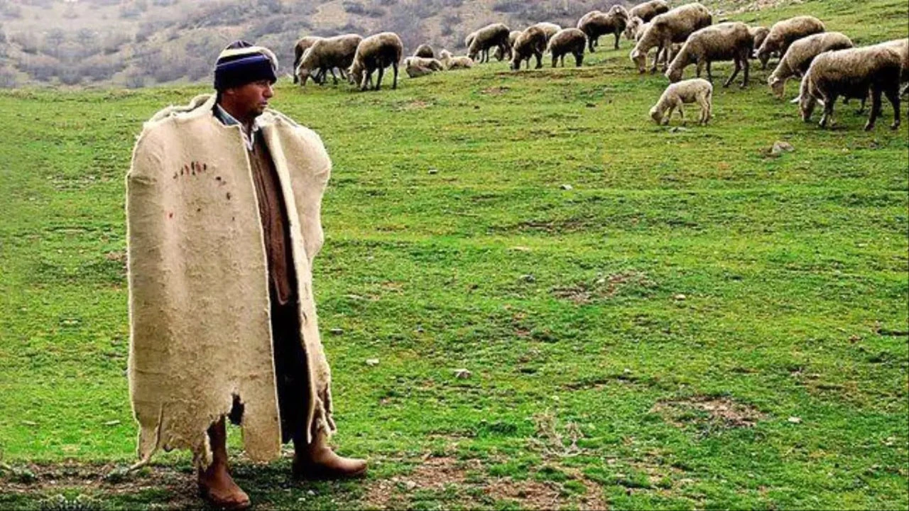 Bu Mesleği Yapan Dolgun Maaş Alıyor! Sivas'ta Kursu Açılacak