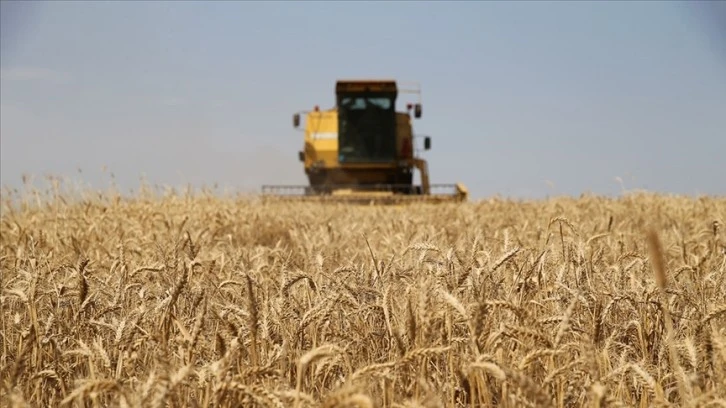 Çiftçiler Müjde! Tarımsal Destek Ödemesi Hesaplara Yatırıldı 