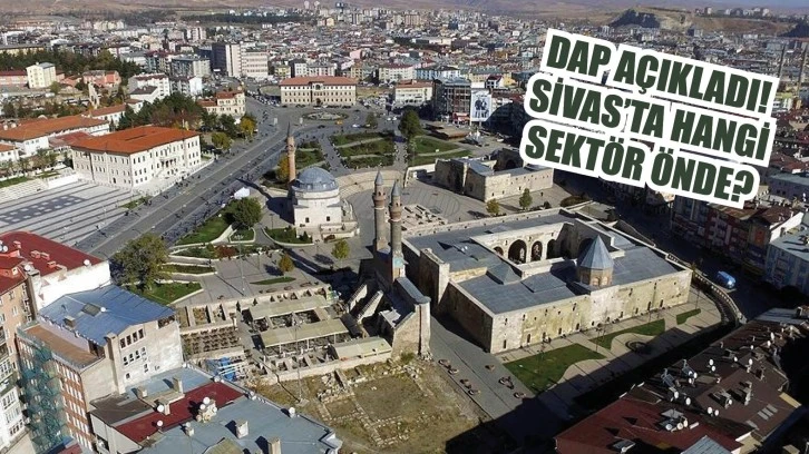 DAP Açıkladı! Sivas'ta Hangi Sektör Önde?