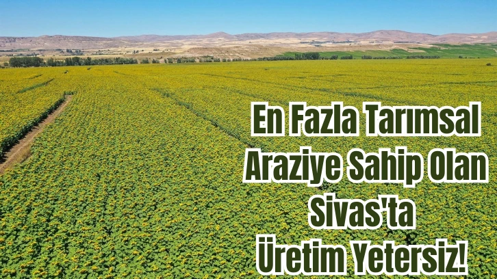 En Fazla Tarımsal Araziye Sahip Olan Sivas'ta Üretim Yetersiz! 