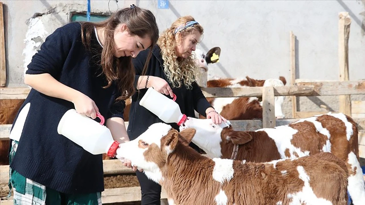 Gelin Görümce Yöneticilik Kariyerlerinden Vazgeçip Çiftlik Kurdular 