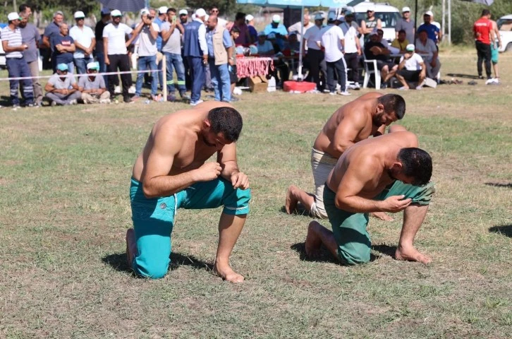 Gilaburu Festivali Sona Erdi 