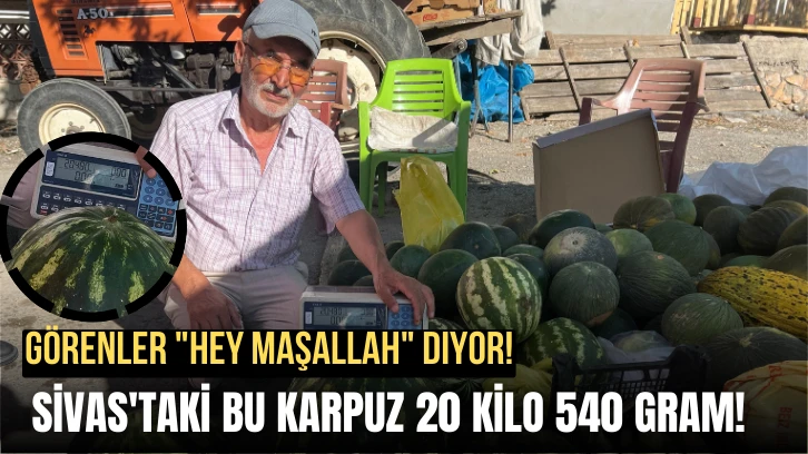 Görenler "Hey Maşallah" Diyor! Sivas'taki Bu Karpuz 20 Kilo 540 Gram!