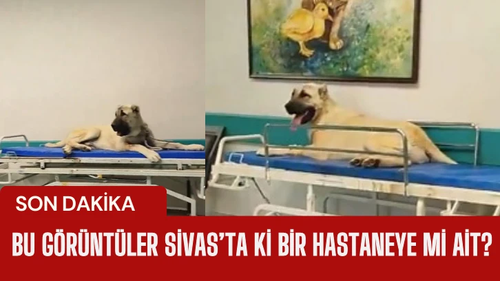 Görüntüler İnfial Yaratmıştı... Sivas İl Sağlık Müdürlüğünden Suç Duyurusu 