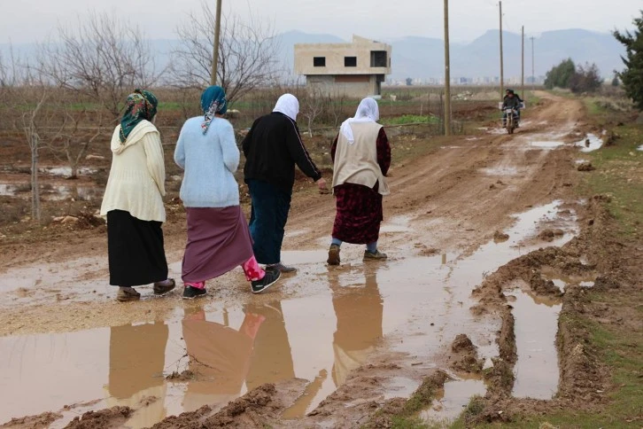 Hasat Öncesi Yollar Düzelecek 