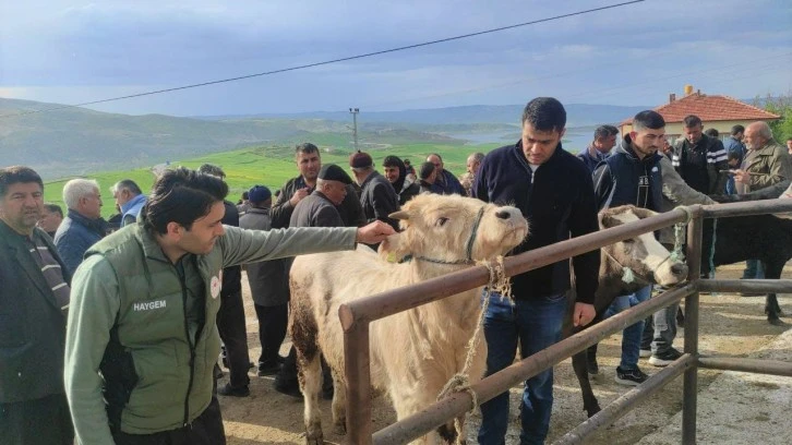  Hayvan Pazarlarında Şap Hastalığına Karşı Sıkı Tedbirler Sürüyor