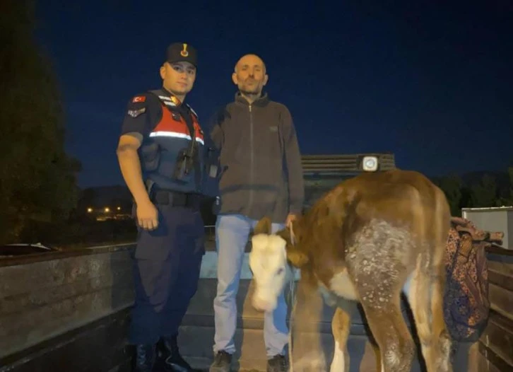 Kayseri’de çalındı, Kahramanmaraş’ta bulundu