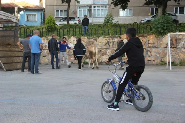 Kesim Alanları Oyun Parkına Dönüştü