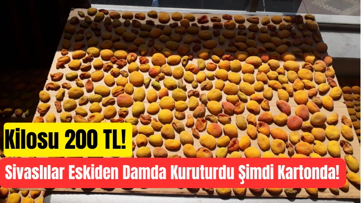 Kilosu 200 TL! Sivaslılar Eskiden Damda Kuruturdu Şimdi Kartonda!