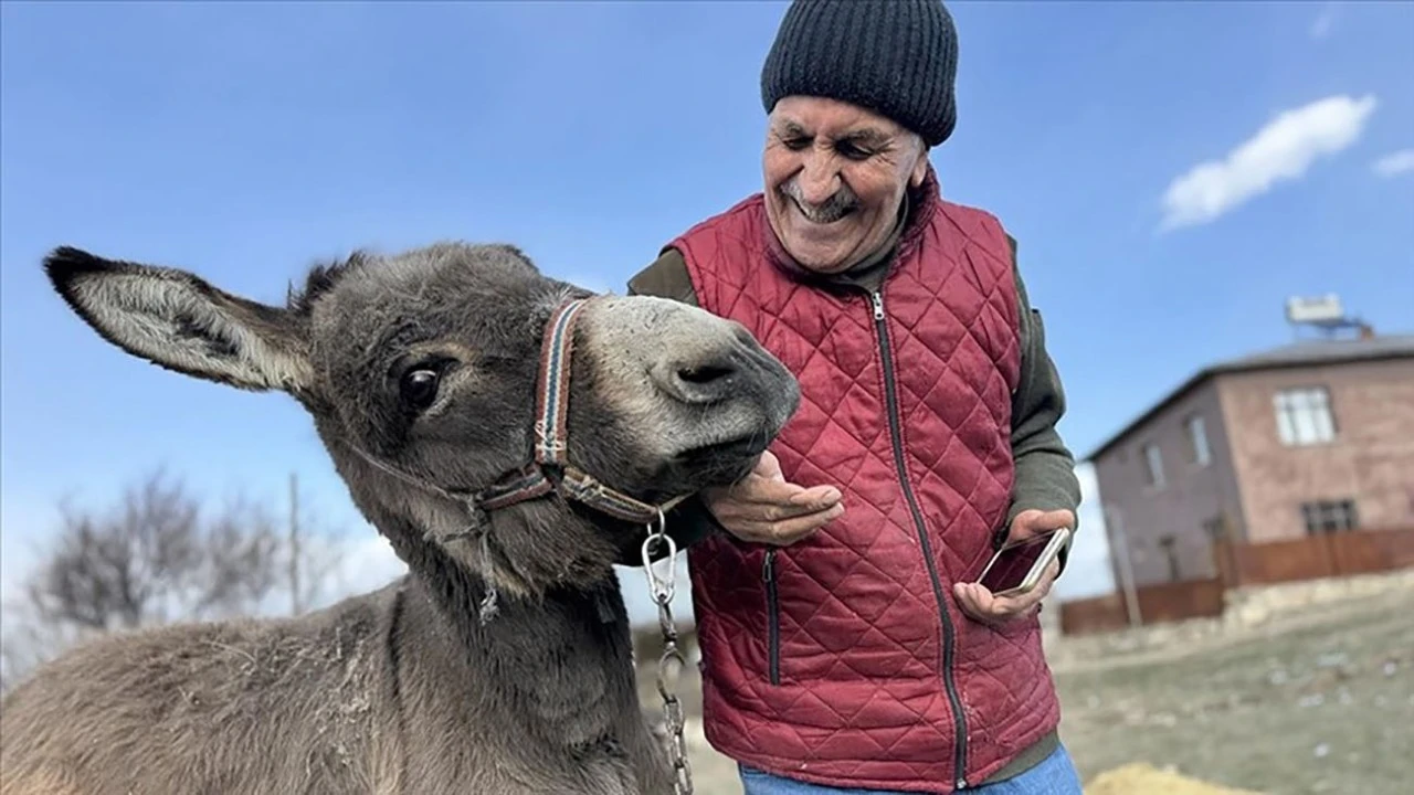 Kırsala terk edilen eşeğe 21 yıldır bakan hayvansevere destek yağdı