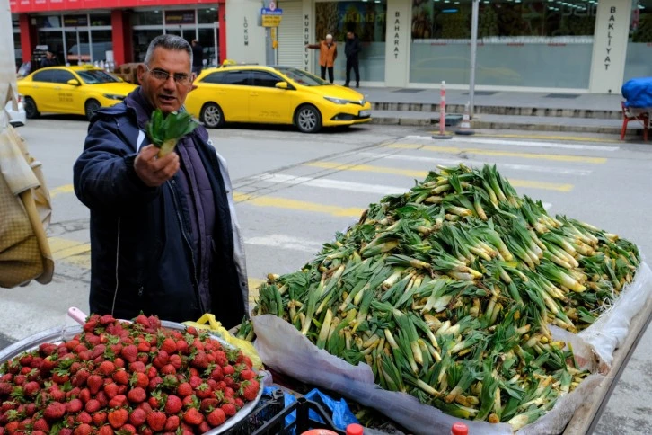 Lezzet ve Şifa Deposu