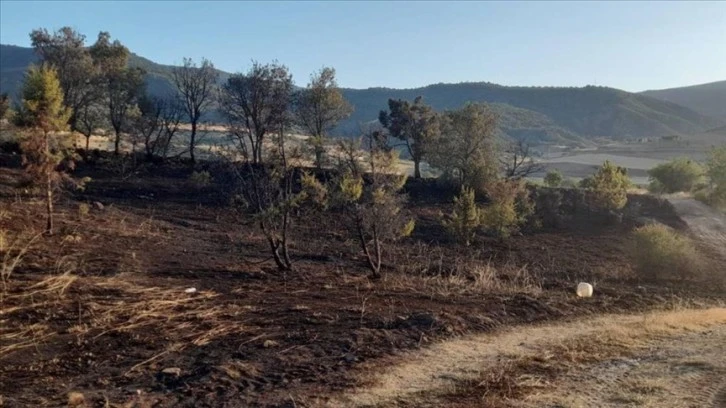 Mangaldan Yangın Çıktı! 6 Dekar Alan Kül Oldu!