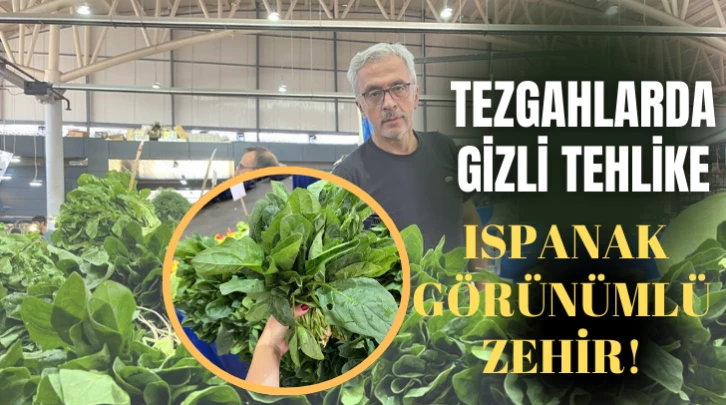 Tezgahlarda Gizli Tehlike: Ispanak Görünümlü Zehir!