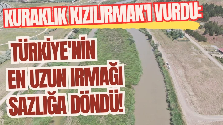 Kuraklık Kızılırmak'ı Vurdu: Türkiye'nin En Uzun Irmağı Sazlığa Döndü!
