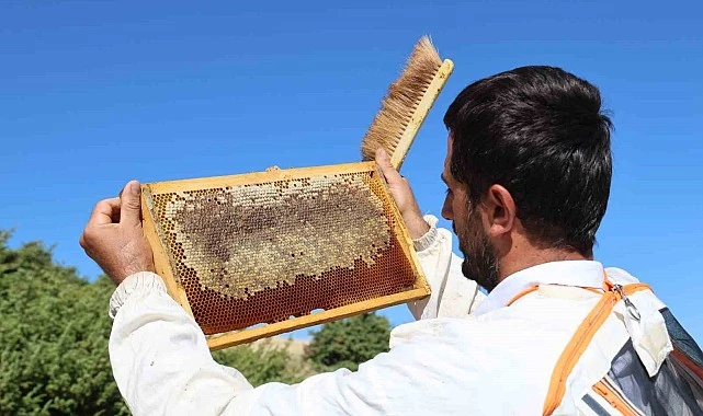 Küresel Isınma Arıcıları Vurdu