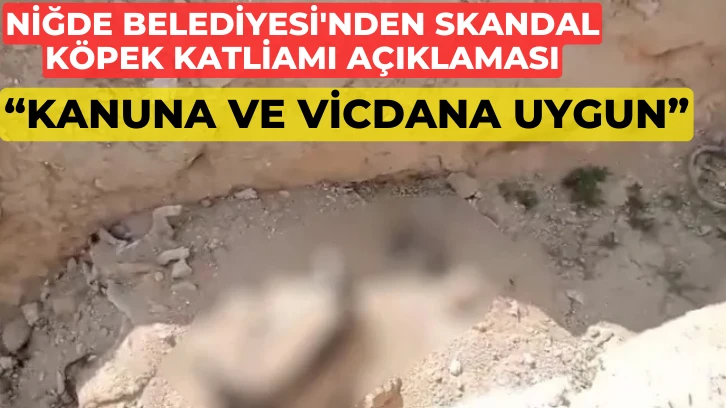 Niğde Belediyesi'nden Skandal Köpek Katliamı Açıklaması: &quot;Kanuna ve Vicdana Uygun&quot;