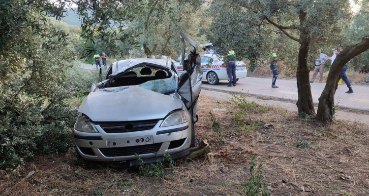 Otomobil Zeytinliğe Daldı, 1 Ölü 