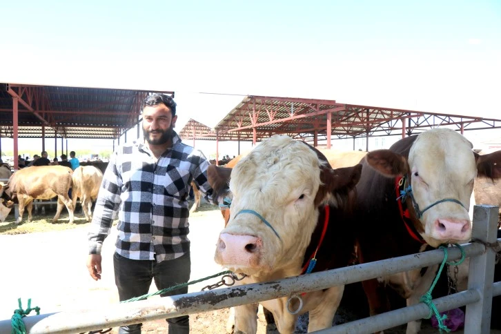 Pazar Yerinin Gözdesi Oldu