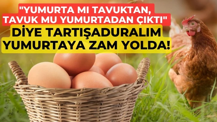 "Yumurta mı Tavuktan, Tavuk mu Yumurtadan Çıktı" Diye Tartışaduralım Yumurtaya Zam Yolda!