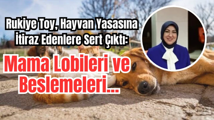 Sivas Milletvekili Rukiye Toy, Hayvan Yasasına İtiraz Edenlere Sert Çıktı: Mama Lobileri ve Beslemeleri...