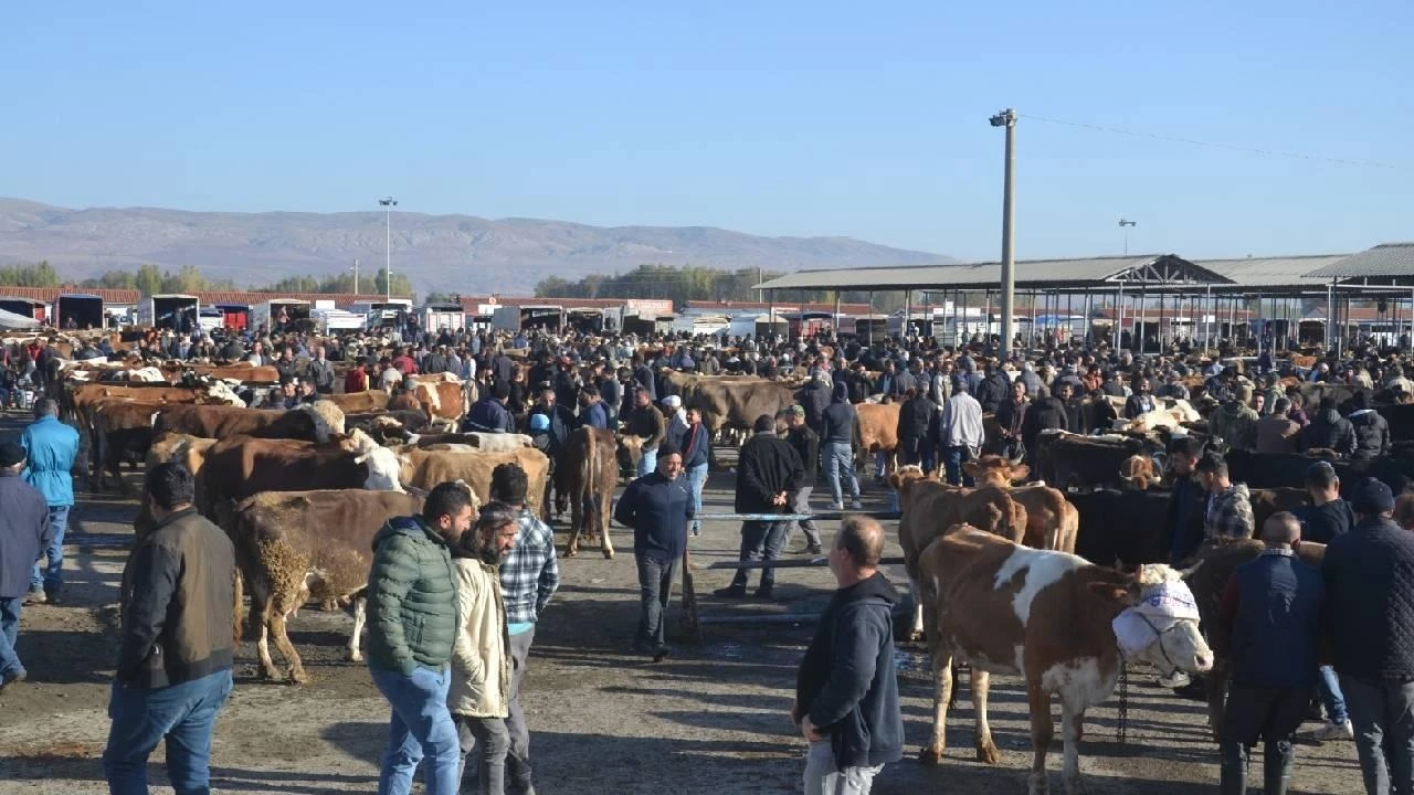 Şarkışla Hayvan Pazarında Alınacak Tedbirler Görüşüldü