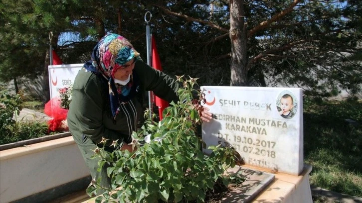 Şehit Bedirhan Bebeğin İsmi Sivas'ta Yaşatılacak