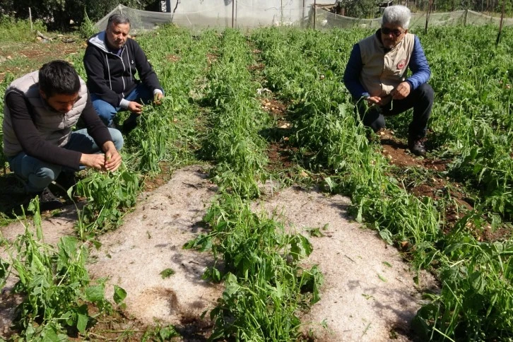 Şiddetli Dolu Serayı Çökertti