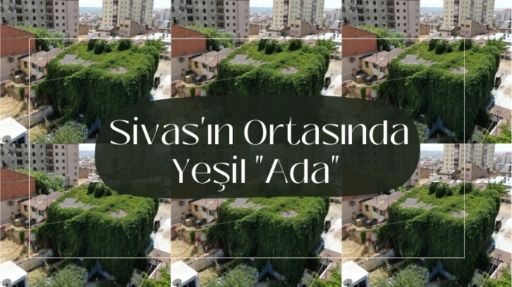 Sivas'ın Ortasında Yeşil  "Ada" 