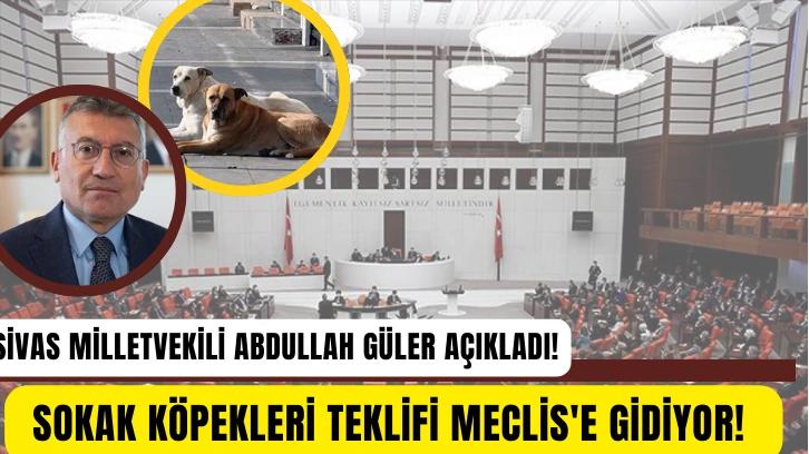 Sivas Milletvekili Abdullah Güler Açıkladı! Sokak Köpekleri Teklifi Meclis'e Gidiyor!  