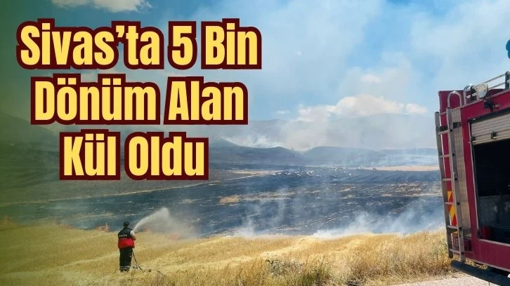 Sivas’ta 5 Bin Dönüm Alan Kül Oldu 