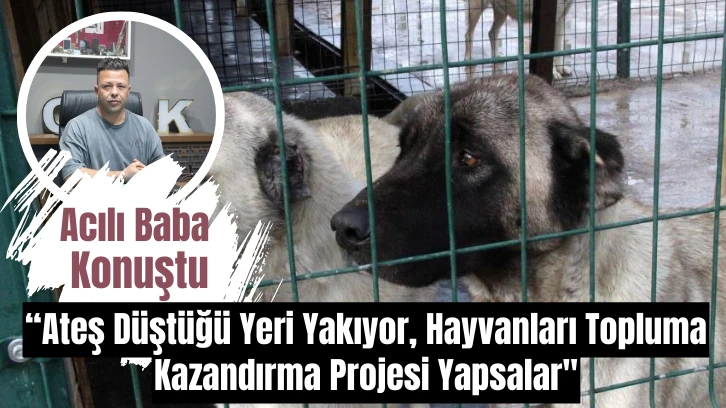 Sivas'ta Acılı Baba Konuştu: “Ateş Düştüğü Yeri Yakıyor, Hayvanları Topluma Kazandırma Projesi Yapsalar"