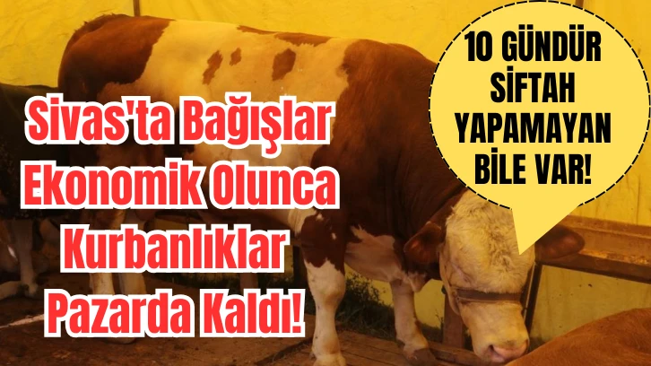 Sivas'ta Bağışlar Ekonomik Olunca Kurbanlıklar Pazarda Kaldı! 