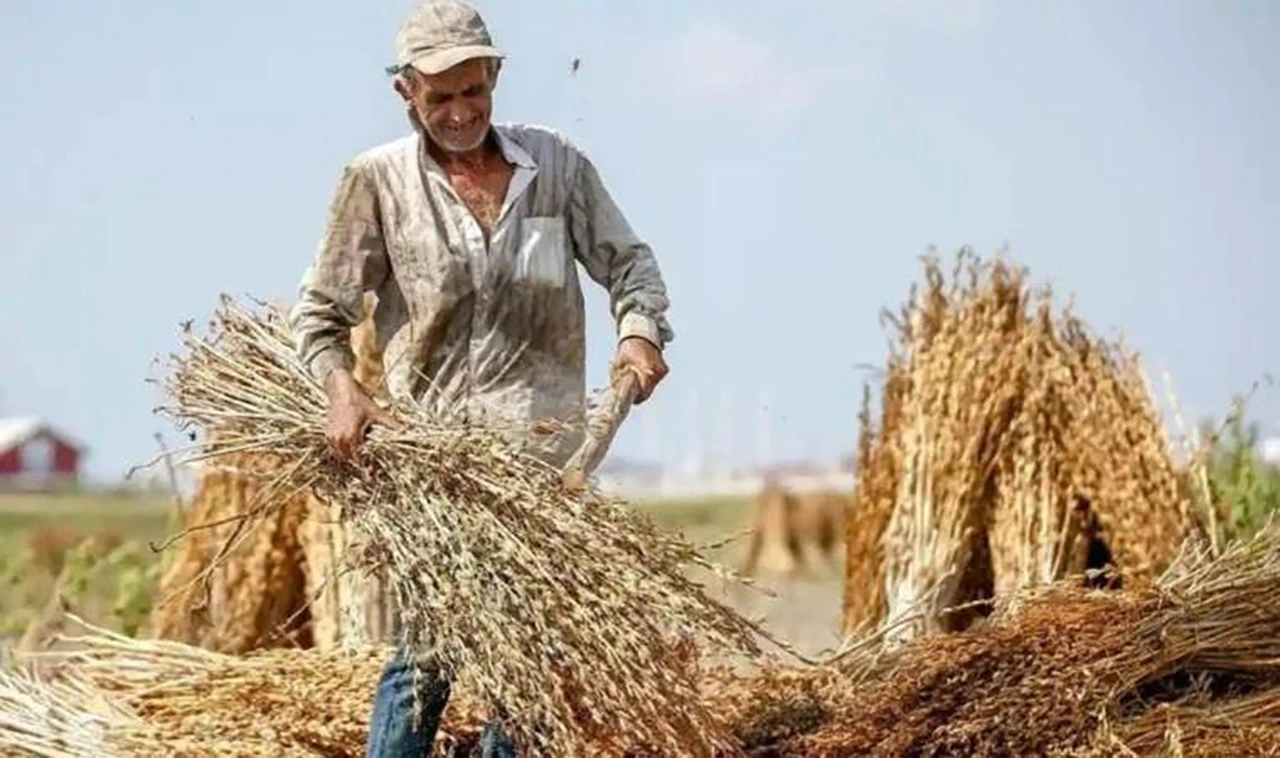 Sivas'ta Başkan Şimşek’ten Çiftçilere Uyarı: Geç Kalmayın