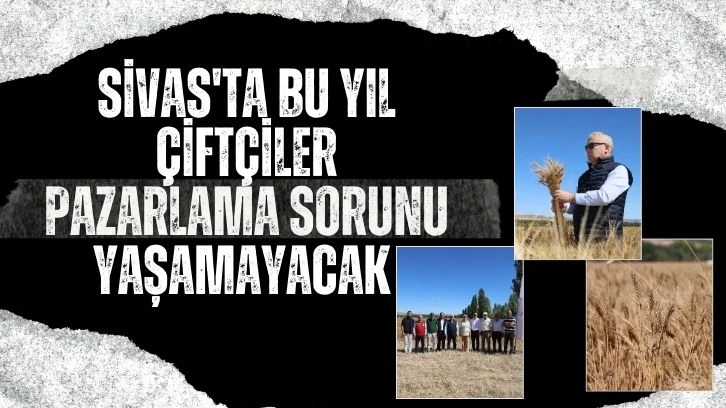 Sivas'ta Bu Yıl Çiftçiler Pazarlama Sorunu Yaşamayacak 