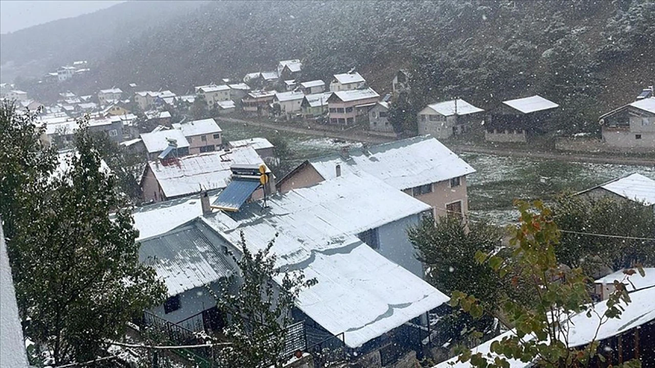 Sivas'ta Çam Ağaçlarıyla Kaplı Eğriçimen Yaylası'na Kar Yağdı