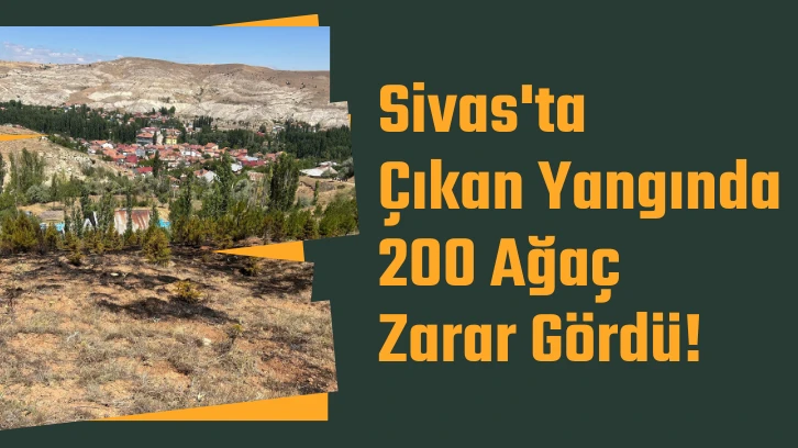 Sivas'ta Çıkan Yangında 200 Ağaç Zarar Gördü! 