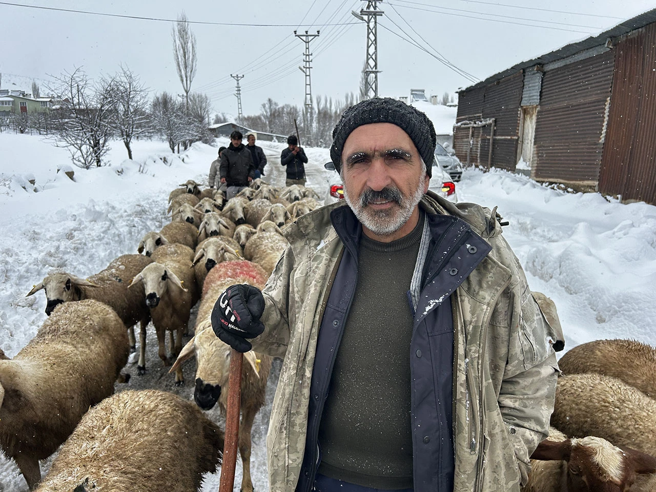 Sivas'ta Çobanlar Kara Kışa Hazırlıksız Yakalandı 