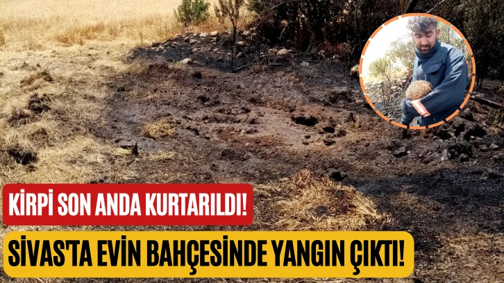 Sivas'ta Evin Bahçesinde Yangın Çıktı! Kirpi Son Anda Kurtarıldı!