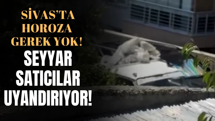 Sivas’ta Horoza Gerek Yok Seyyar Satıcılar Uyandırıyor! 