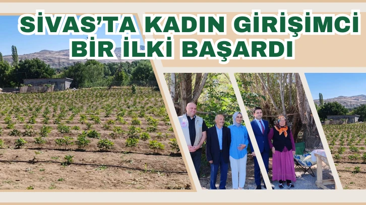 Sivas’ta Kadın Girişimci Bir İlki Başardı  